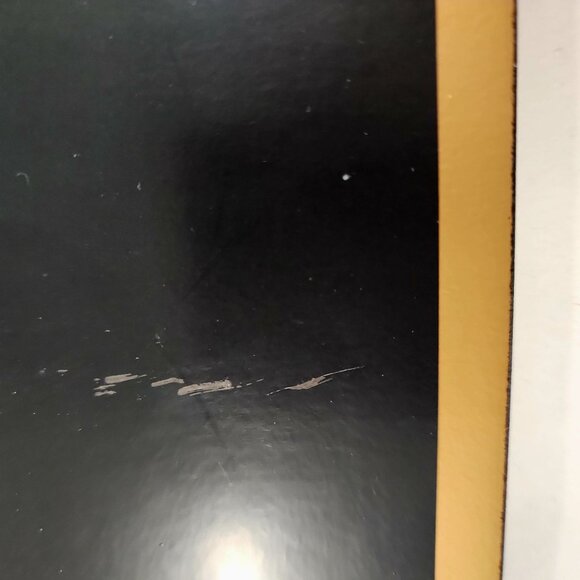 Set Of 4 Pimpernel Placemats Dog and Cat at Christmas Door Ciao Bella Studios - Picture 16 of 16